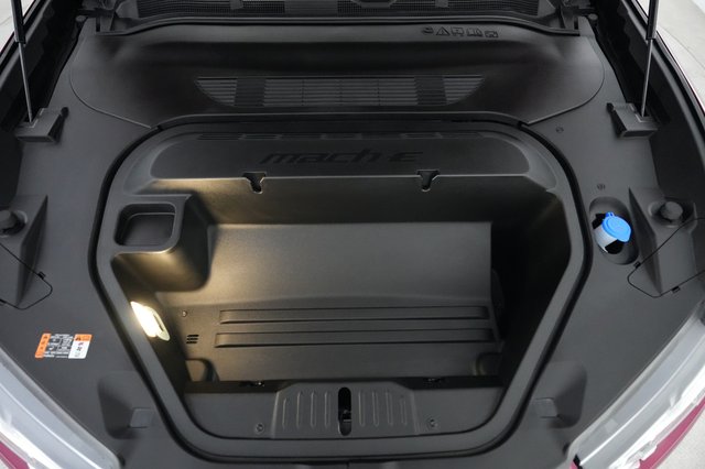 2025 Ford Mustang Mach-E — photo 20 of 21