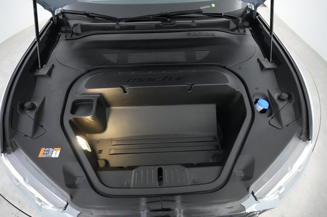 2025 Ford Mustang Mach-E — photo 20 of 21