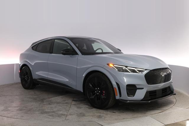 2025 Ford Mustang Mach-E — photo 10 of 21