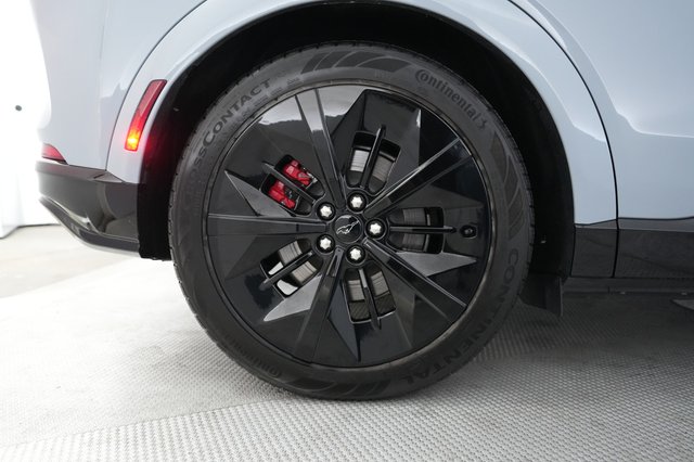 2025 Ford Mustang Mach-E — photo 17 of 21