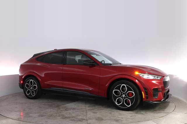 2021 Ford Mustang Mach-E — photo 11 of 21