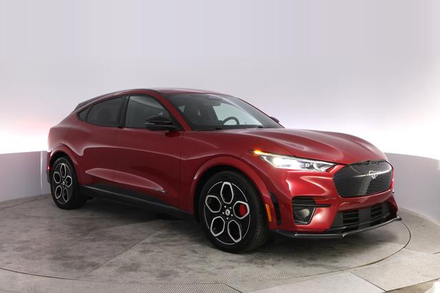 2021 Ford Mustang Mach-E — photo 10 of 21