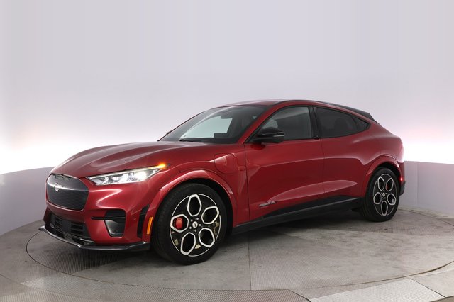 2021 Ford Mustang Mach-E — photo 14 of 21