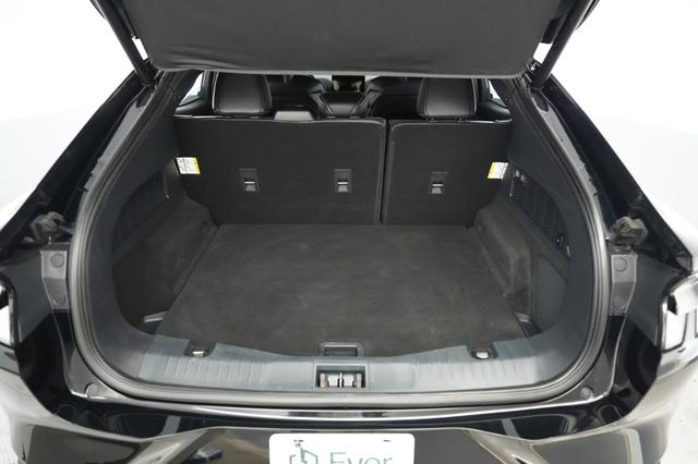 2022 Ford Mustang Mach-E — photo 6 of 21
