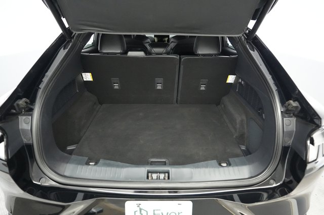 2022 Ford Mustang Mach-E — photo 6 of 21