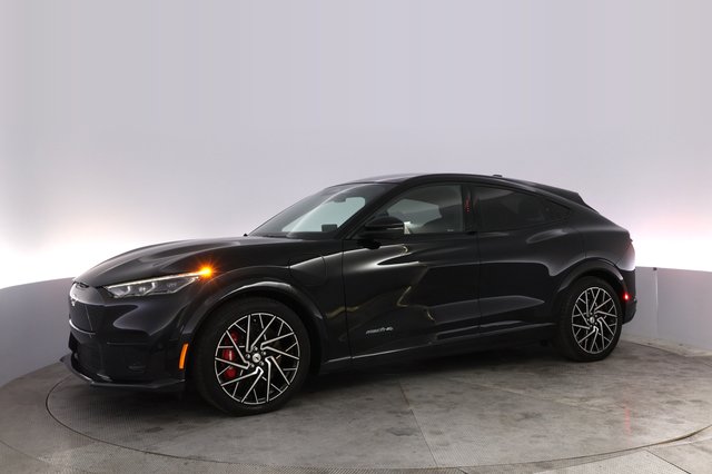 2022 Ford Mustang Mach-E — photo 14 of 21