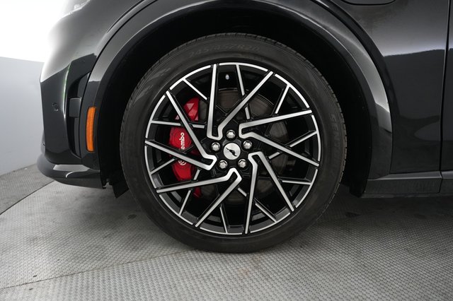 2022 Ford Mustang Mach-E — photo 15 of 21