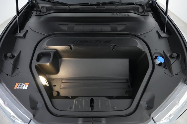 2025 Ford Mustang Mach-E — photo 20 of 21