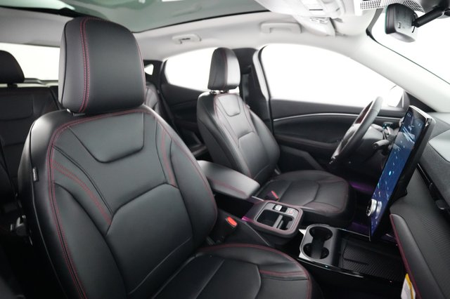 2025 Ford Mustang Mach-E — photo 18 of 21