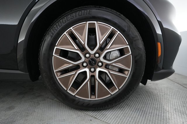 2025 Ford Mustang Mach-E — photo 16 of 21