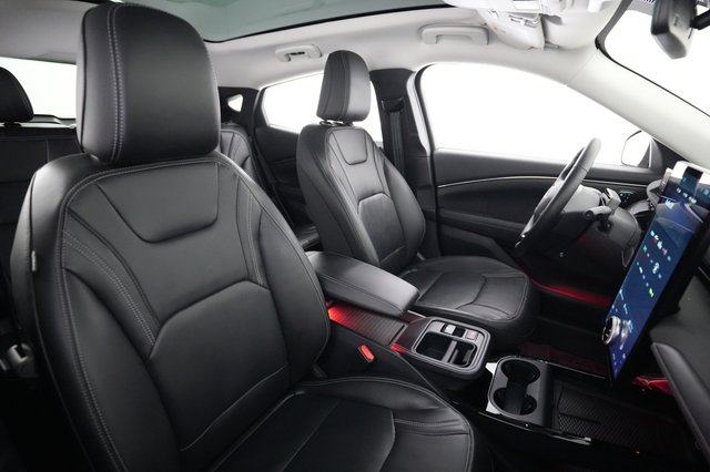2025 Ford Mustang Mach-E — photo 18 of 21