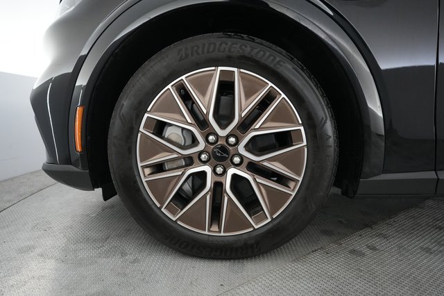 2025 Ford Mustang Mach-E — photo 15 of 21