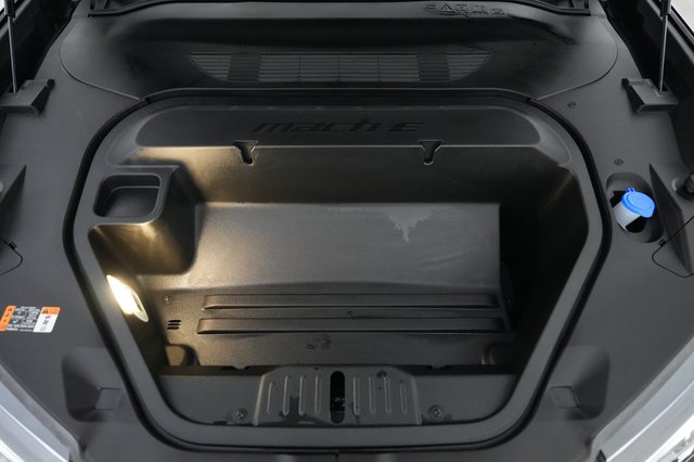 2025 Ford Mustang Mach-E — photo 20 of 21