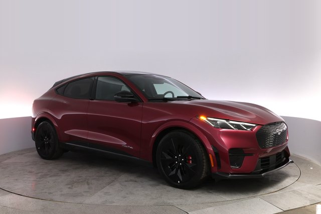 2025 Ford Mustang Mach-E — photo 11 of 23