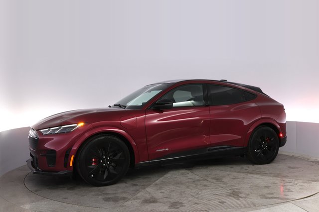 2025 Ford Mustang Mach-E — photo 14 of 23