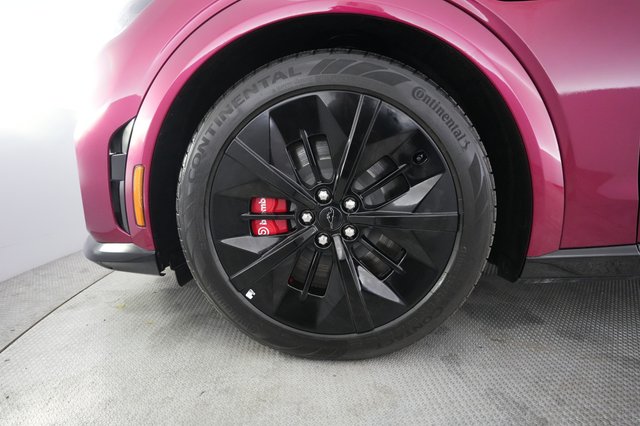 2025 Ford Mustang Mach-E — photo 15 of 23