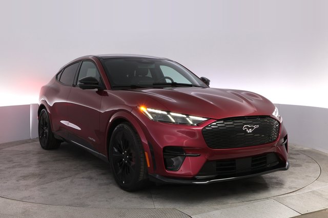 2025 Ford Mustang Mach-E — photo 10 of 23
