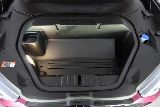 2025 Ford Mustang Mach-E — photo 22 of 23
