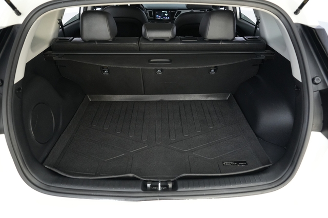 2019 Kia Niro EV