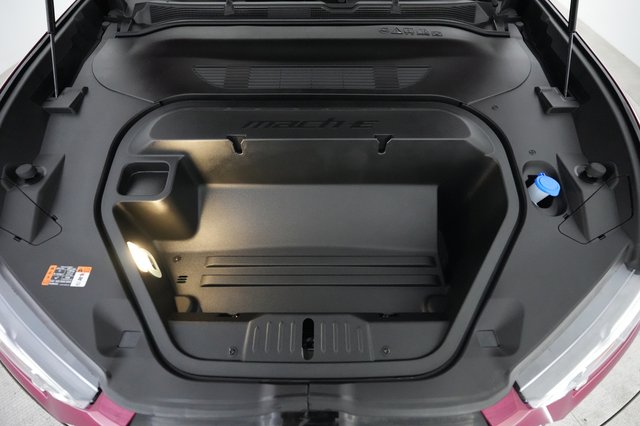 2025 Ford Mustang Mach-E — photo 22 of 23