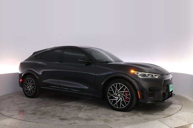 2022 Ford Mustang Mach-E — photo 11 of 21