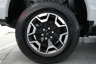 2023 Ford F-150 Lightning — photo 11 of 15