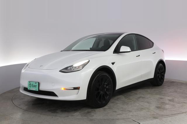 2023 Tesla Model Y — VIN 7SAYGDEE3PA081517