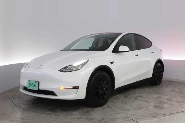 2023 Tesla Model Y — VIN 7SAYGDEE3PA081517