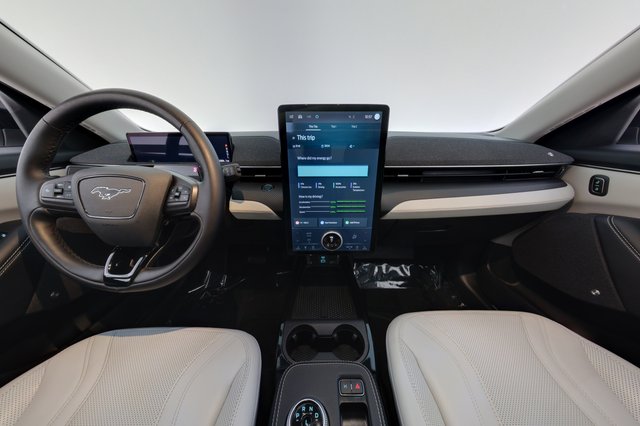 2023 Ford Mustang Mach-E — photo 20 of 23