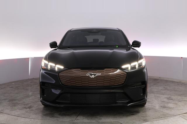 2025 Ford Mustang Mach-E — photo 9 of 32