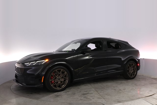 2025 Ford Mustang Mach-E — photo 14 of 32