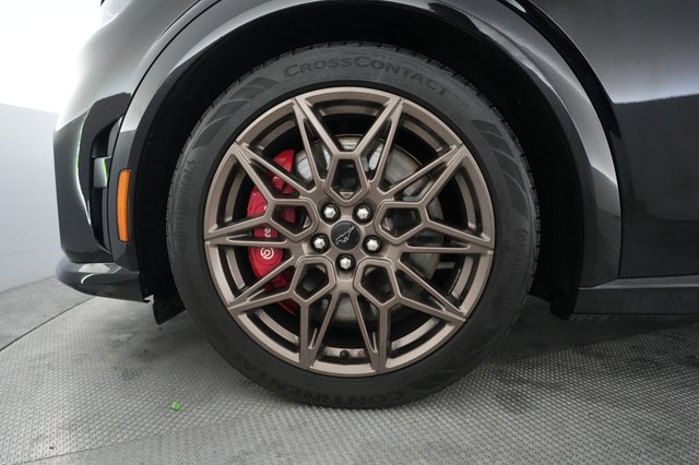2025 Ford Mustang Mach-E — photo 15 of 32