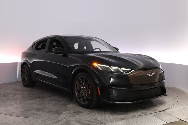 2025 Ford Mustang Mach-E — photo 10 of 32