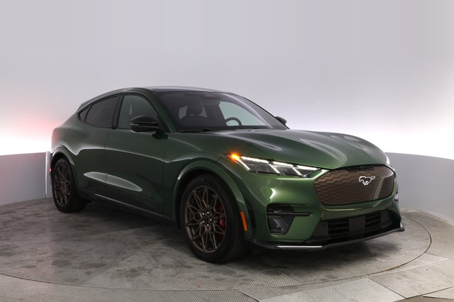 2025 Ford Mustang Mach-E — photo 10 of 25