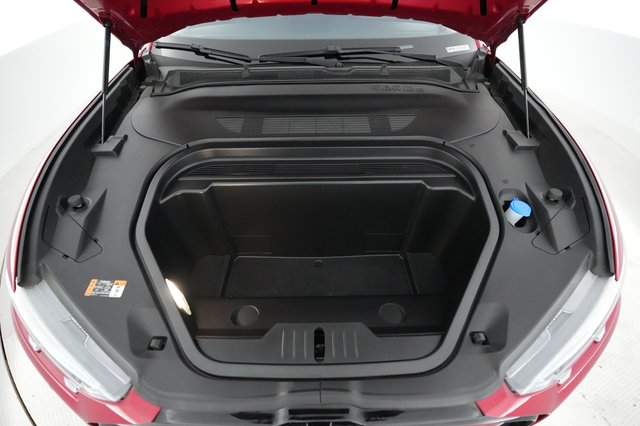 2022 Ford Mustang Mach-E — photo 23 of 25
