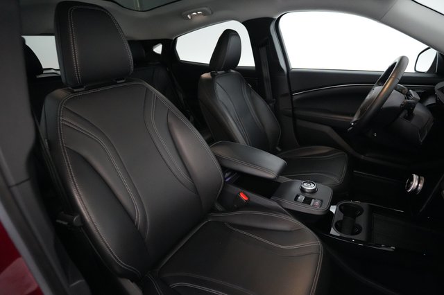 2022 Ford Mustang Mach-E — photo 18 of 25