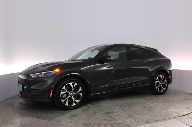 2022 Ford Mustang Mach-E — photo 14 of 28