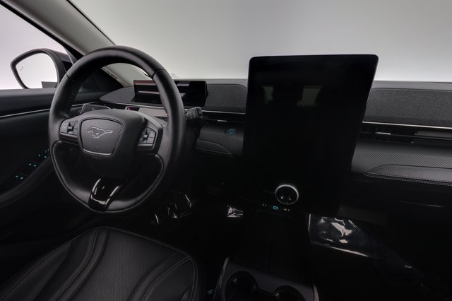 2022 Ford Mustang Mach-E — photo 20 of 28