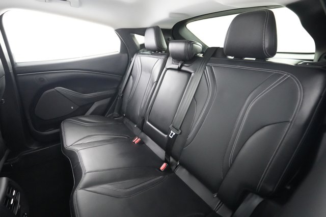 2022 Ford Mustang Mach-E — photo 19 of 28