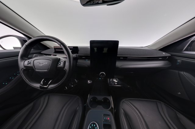2022 Ford Mustang Mach-E — photo 21 of 28