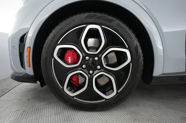 2024 Ford Mustang Mach-E — photo 15 of 22