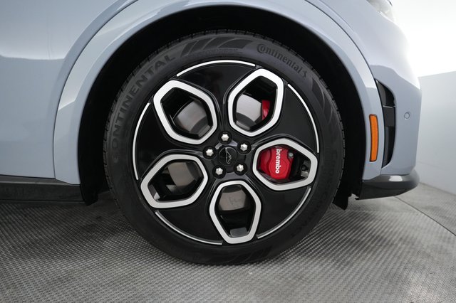2024 Ford Mustang Mach-E — photo 16 of 22