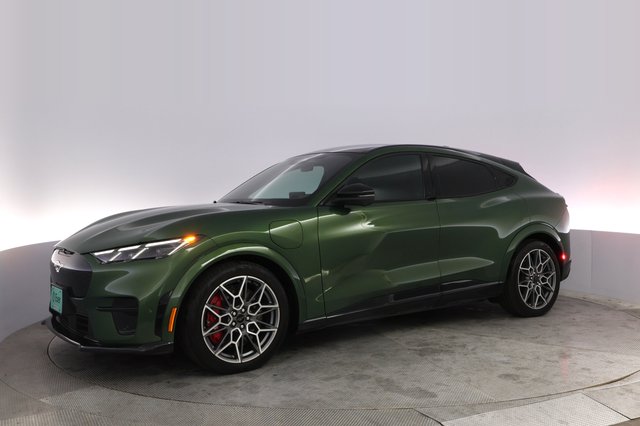 2024 Ford Mustang Mach-E — photo 14 of 21