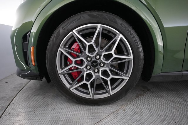 2024 Ford Mustang Mach-E — photo 15 of 21