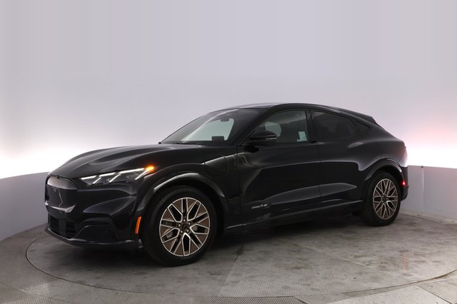 2024 Ford Mustang Mach-E — photo 14 of 29