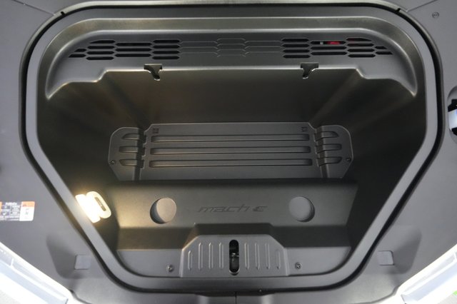 2023 Ford Mustang Mach-E — photo 20 of 22