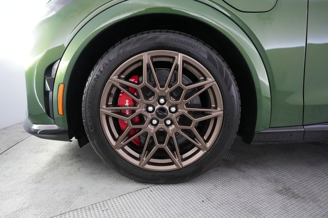 2025 Ford Mustang Mach-E — photo 15 of 21