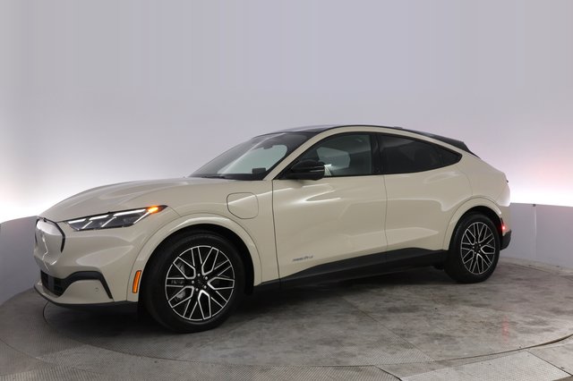 2025 Ford Mustang Mach-E — photo 14 of 25