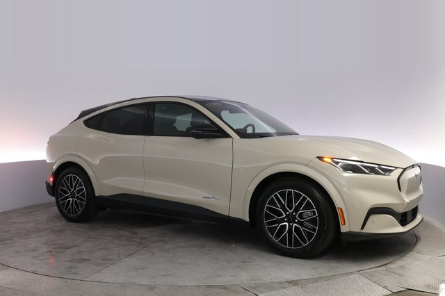 2025 Ford Mustang Mach-E — photo 11 of 25