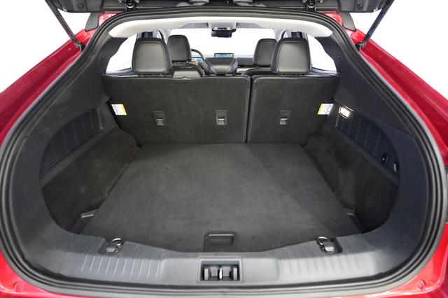 2021 Ford Mustang Mach-E — photo 6 of 31